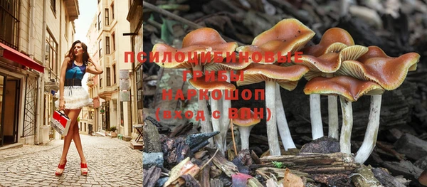 ГАЛЛЮЦИНОГЕННЫЕ ГРИБЫ Алексеевка