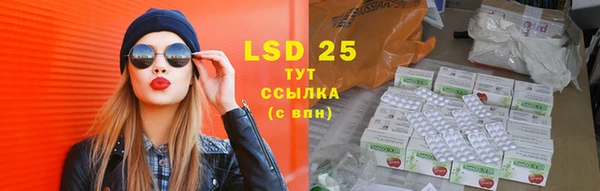 ГАЛЛЮЦИНОГЕННЫЕ ГРИБЫ Алексеевка