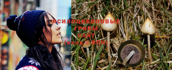 соль курить ск Алексин