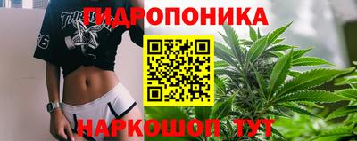стаф Лесосибирск