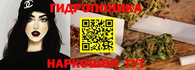 стаф Лесосибирск