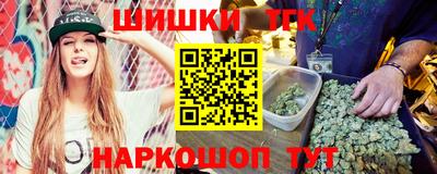 стаф Лесосибирск