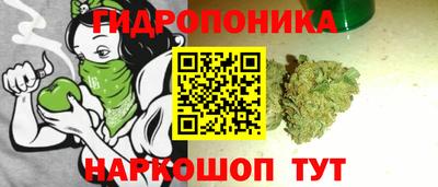 прущие грибы Ливны