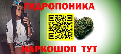 стаф Лесосибирск