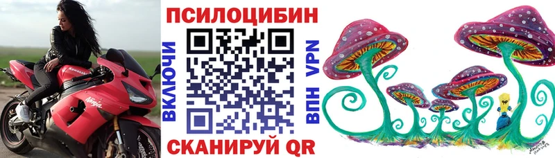 блэк спрут зеркало  Железноводск  дарк нет наркотические препараты  Псилоцибиновые грибы MAGIC MUSHROOMS 