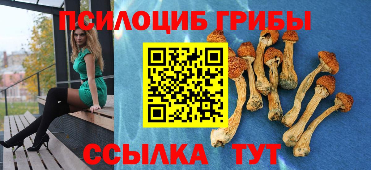 Железноводск  Псилоцибиновые грибы Psilocybe  Вход с VPN  Псилоцибиновые грибы MAGIC MUSHROOMS 
